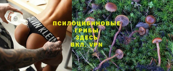 тгк Медвежьегорск