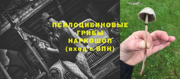 тгк Медвежьегорск