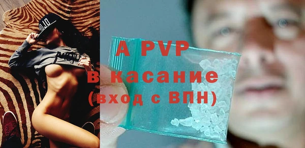 крисы Медногорск