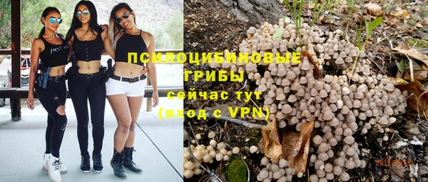 крисы Медногорск