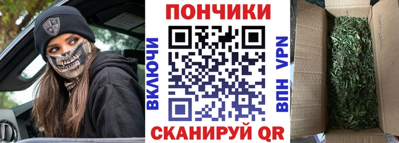 Каннабис индика  Купить где  Можайск 